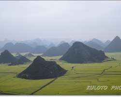 雲南